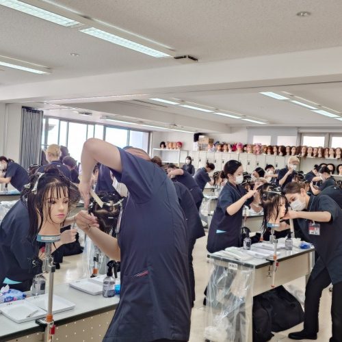 ✂国家試験リハーサル✂